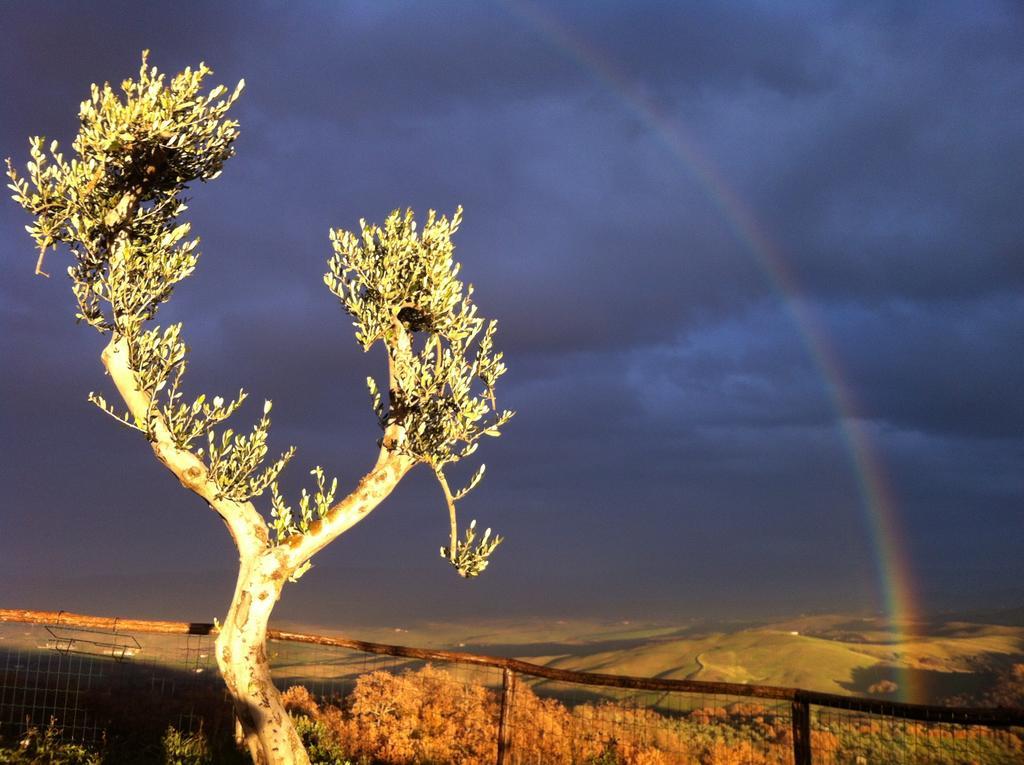 Vila Podere Casella Castiglione dʼOrcia Exteriér fotografie